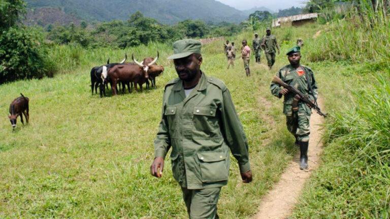 Nord-kivu : le seigneur de guère Janvier Kahiri prêt à dialoguer avec les autorités congolaises.