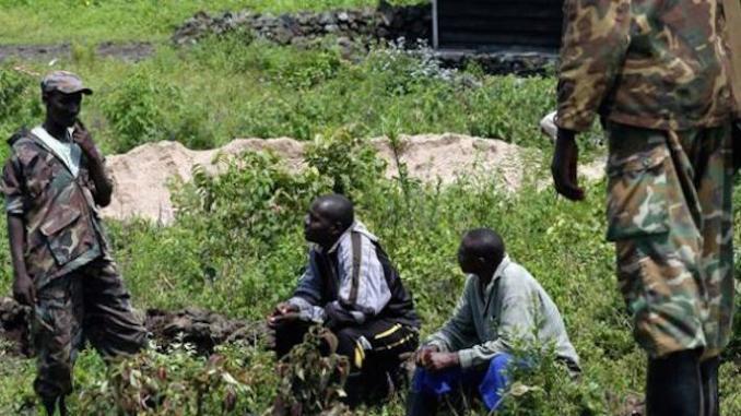 Nord Kivu: « La présence des rebelles ADF signalée dans la vallée de la rivière Samboko » (CRDH)