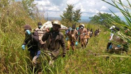 Beni : Une attaque des ADF fait 5 morts parmi les civils à Rwenzori