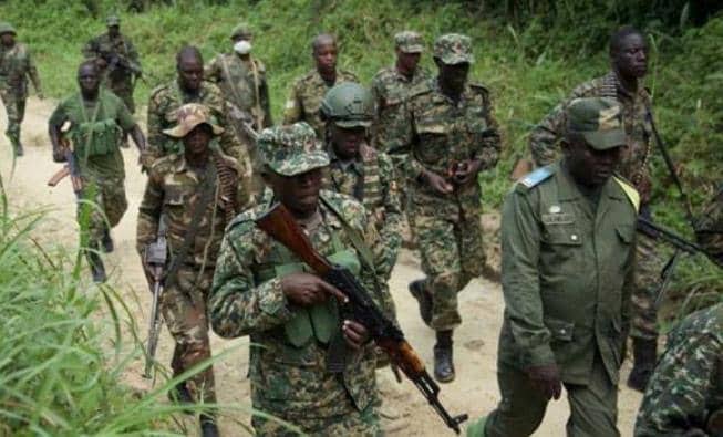 Coalition FARDC-UPDF : le médecin traitant du chef terroriste Mususa Baluku neutralisé avec ses deux acolytes