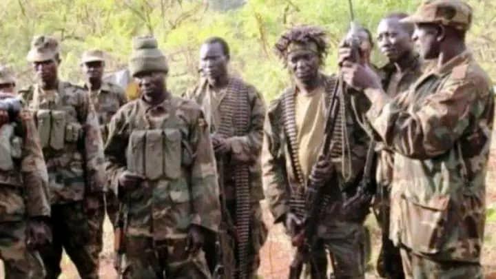 Ituri: six civils tués par les ADF à Mambasa