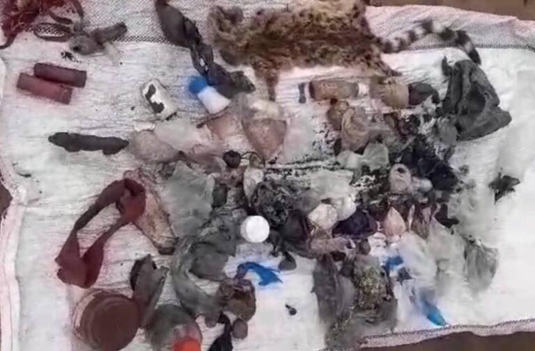 Kwango : trois insurgés Mobondo neutralisés et une armée AK47 récupérée par les FARDC