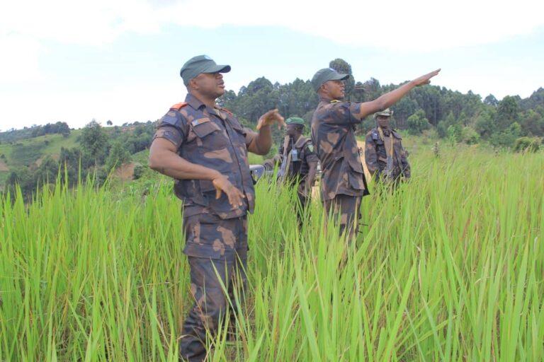 Lubero : plus de 15 éléments M23 tués lors des affrontements avec les FARDC à Luofu