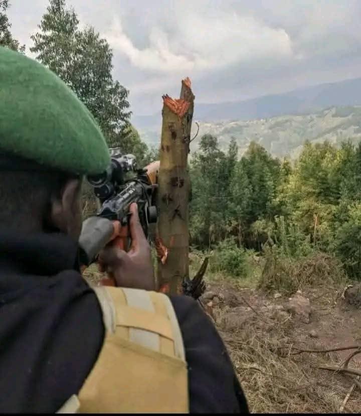 Lubero: les FARDC déjouent une attaque des ADF à Mathembe