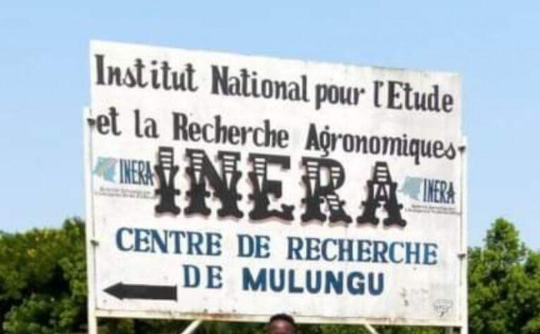 INERA Mulungu : une activité de sensibilisation tourne au drame et fait 6 blessés