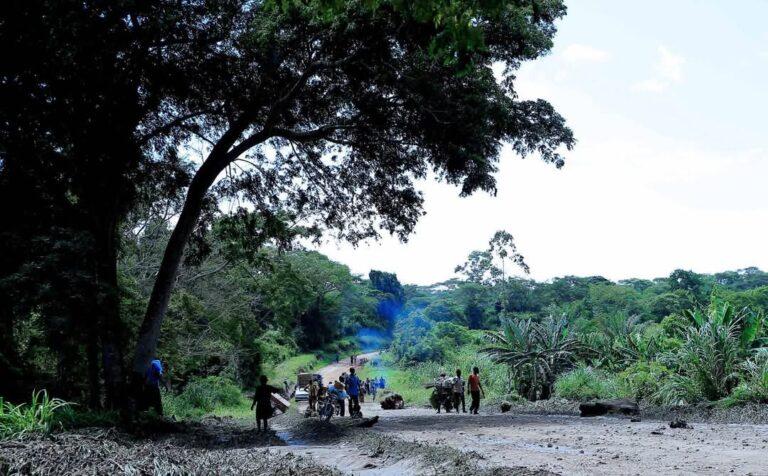 Ituri : 14 miliciens de la CRP de Thomas Lubanga tués par les FARDC