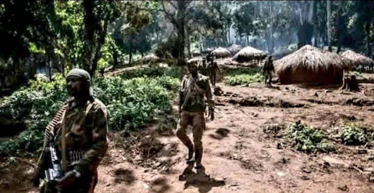 Ituri : 25 civils tués dans une attaque des ADF à Apakolu