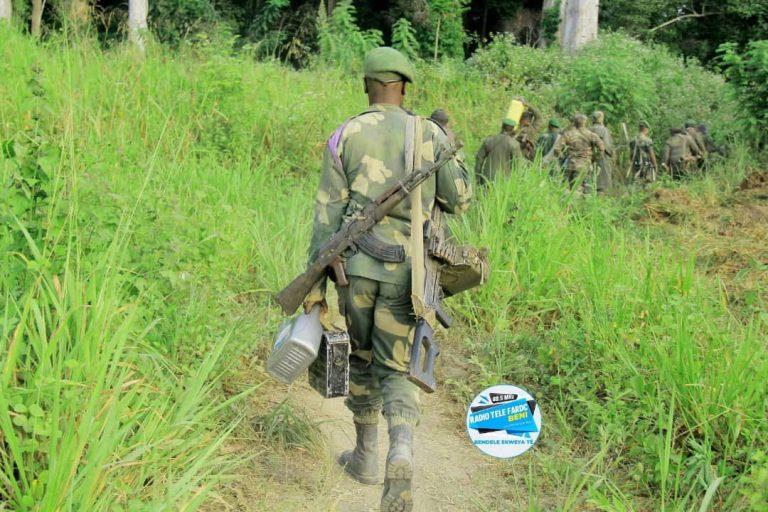 Ituri : les FARDC reprennent plusieurs zones de Mambasa aux mains des ADF