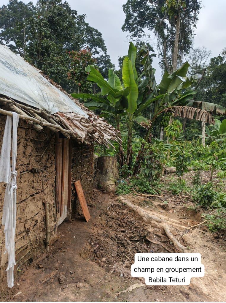 Ituri : plus de 40 civils portés disparus en une semaine à Mambasa, les ADF soupçonnés