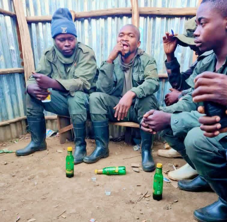 Lubero : trois combattants de l’AFC-M23 se rendent aux Wazalendo à Kiribata