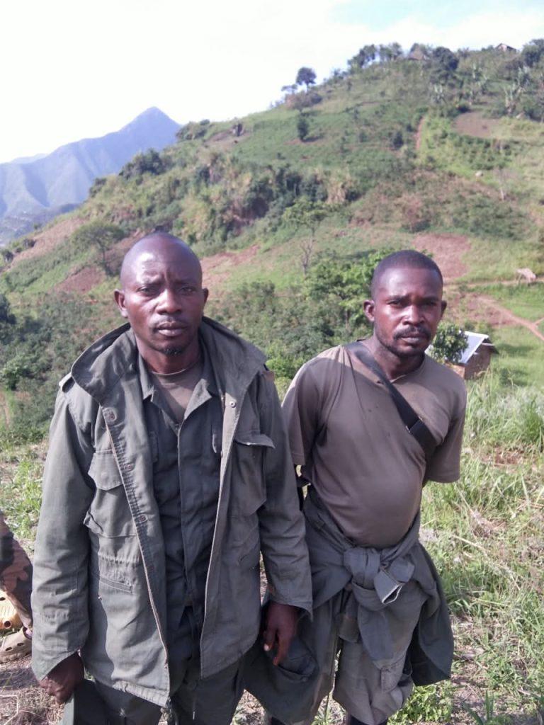 Lubero : deux éléments présentés comme membres du M23/AFC se rendent aux Wazalendo à Kiribata
